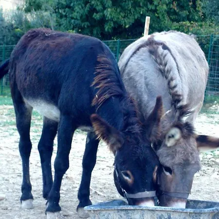 Фермерский дом Angelucci Con E Agri