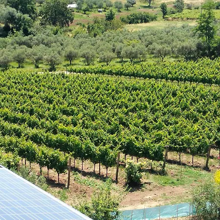 Angelucci Con E Agri Фермерский дом