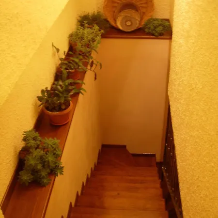 Angelucci Con E Agri