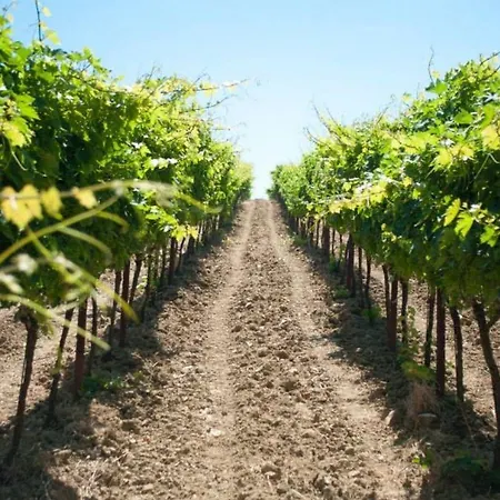 Angelucci Con E Agri Фермерский дом