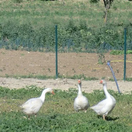 Angelucci Con E Agri Agroturismo