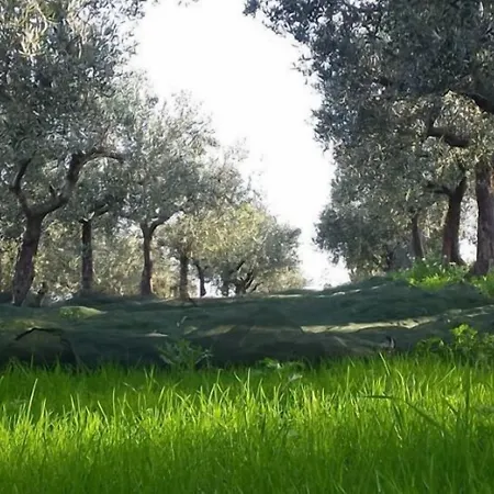 Agroturismo Angelucci Con E Agri *