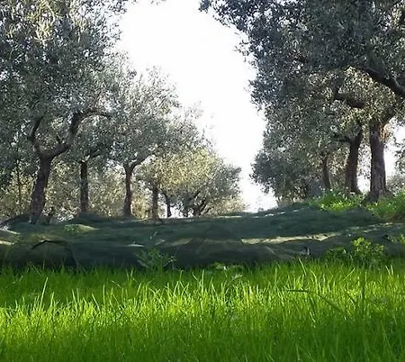 Angelucci Con E Agri مزرعة للإقامة
