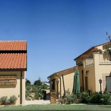 Angelucci Con E Agri