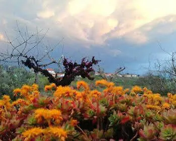 Angelucci Con E Agri