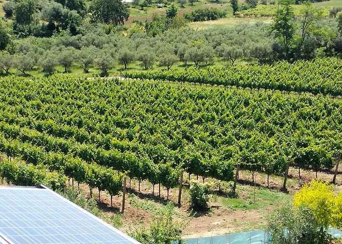 Angelucci Con E Agri Farma