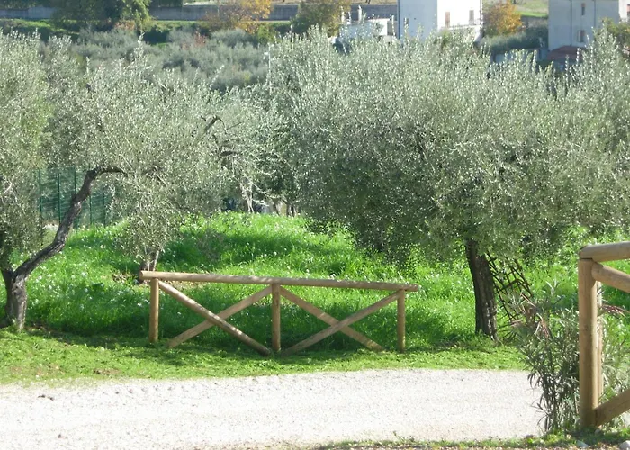 Angelucci Con E Agri Farm stay