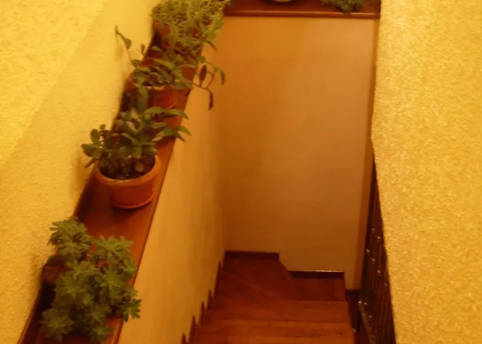 Angelucci Con E Agri