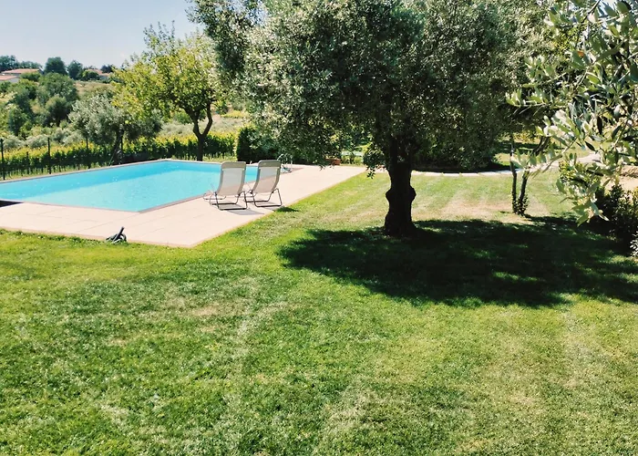 Angelucci Con E Agri *