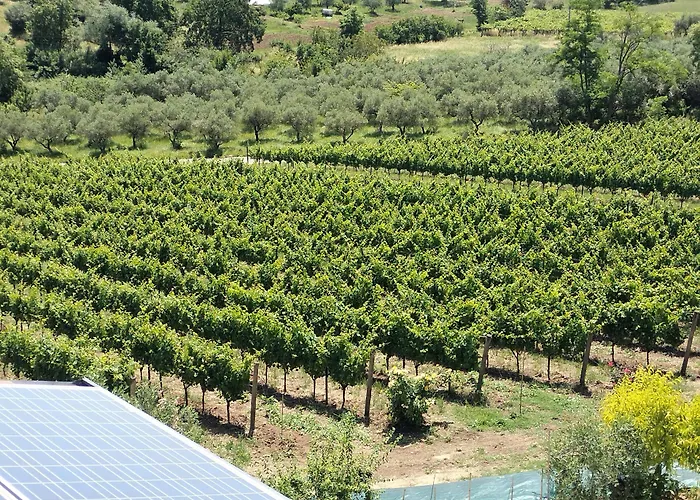 Angelucci Con E Agri *