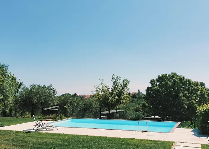 Angelucci Con E Agri Farma