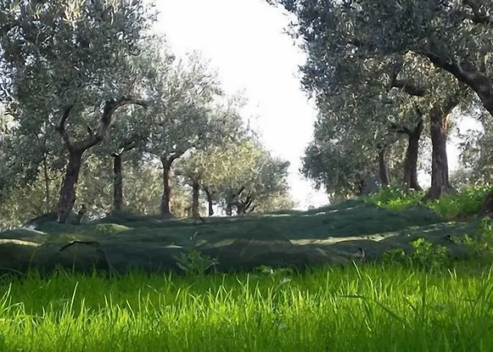 Farma Angelucci Con E Agri *