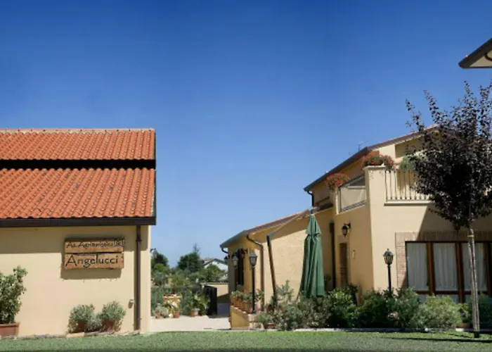 Angelucci Con E Agri