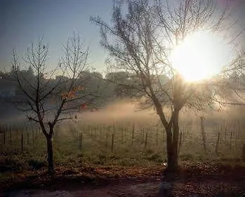 Farm stay Angelucci Con E Agri Lanciano